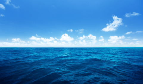 Blue Ocean Strategy | Intrafocus