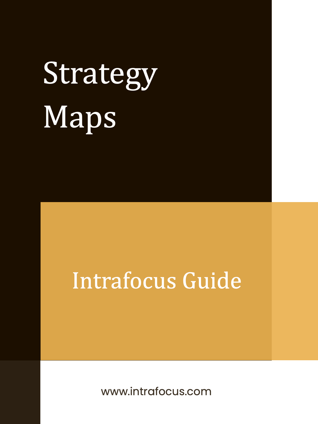 Strategy Maps - A Guide from Intrafocus