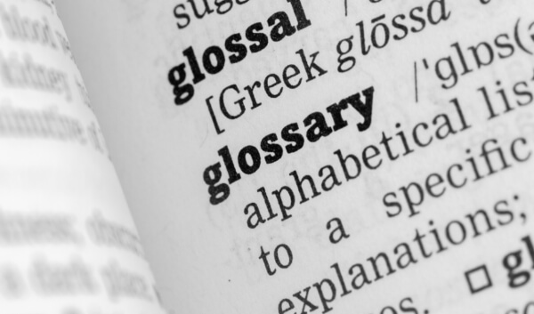 Glossary of Strategic terms from Intrafocus